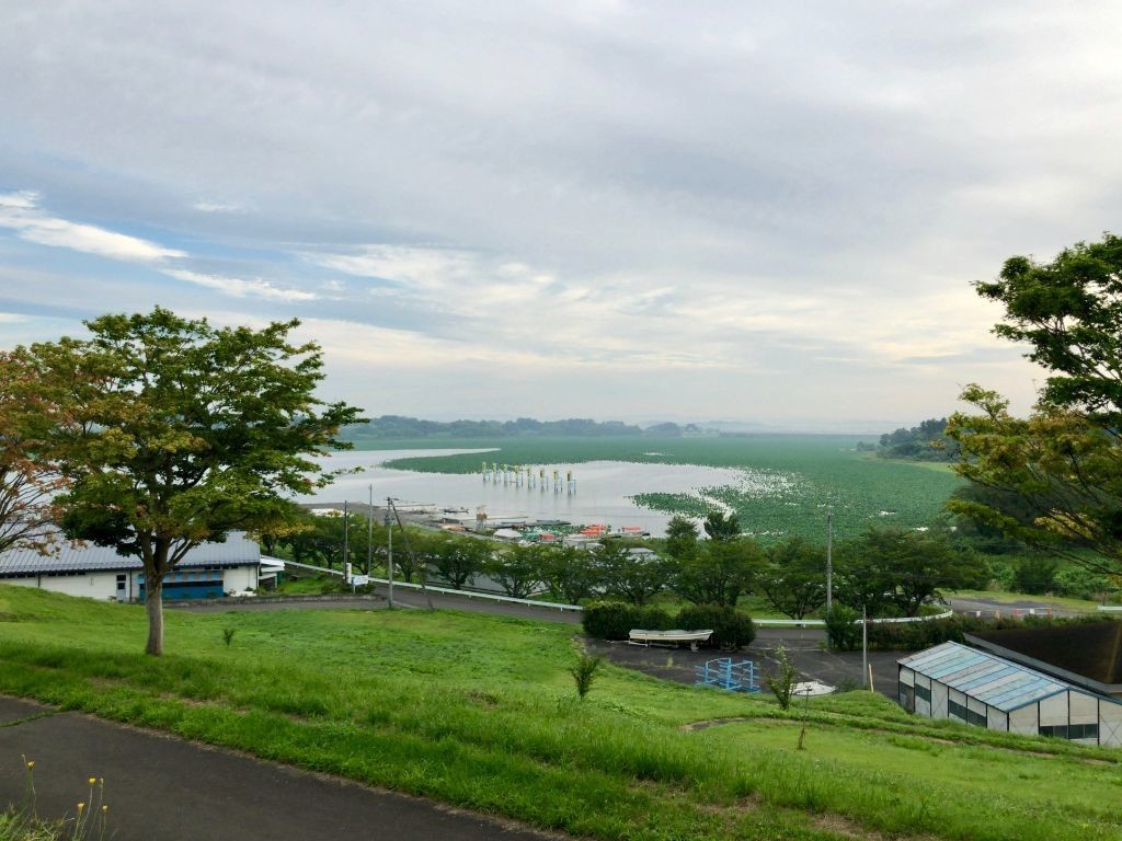 f:id:monyakata:20191029181019j:plain f:id:monyakata:20191029181019j:plain