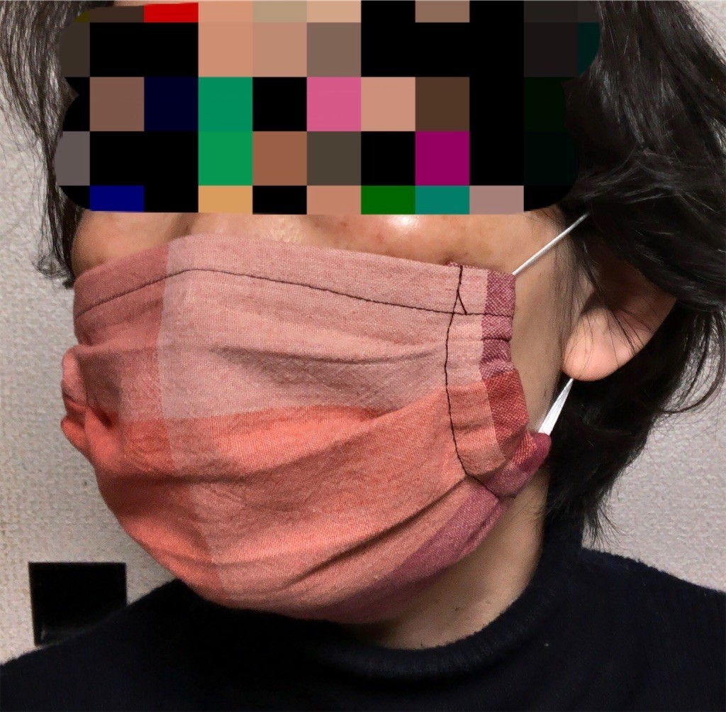 f:id:monyakata:20200510164111j:image