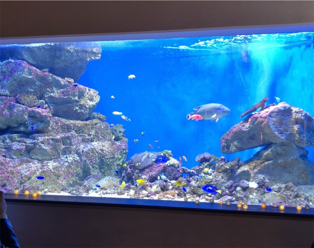 f:id:monyakata:20220412223907j:image