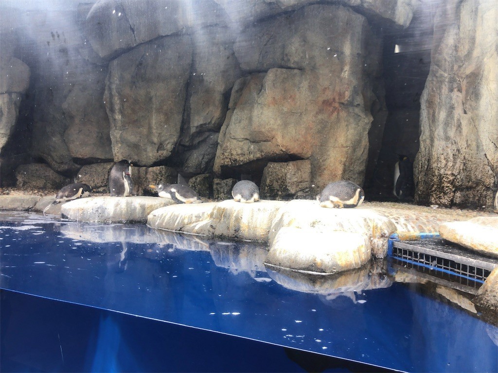 f:id:monyakata:20220413071557j:image