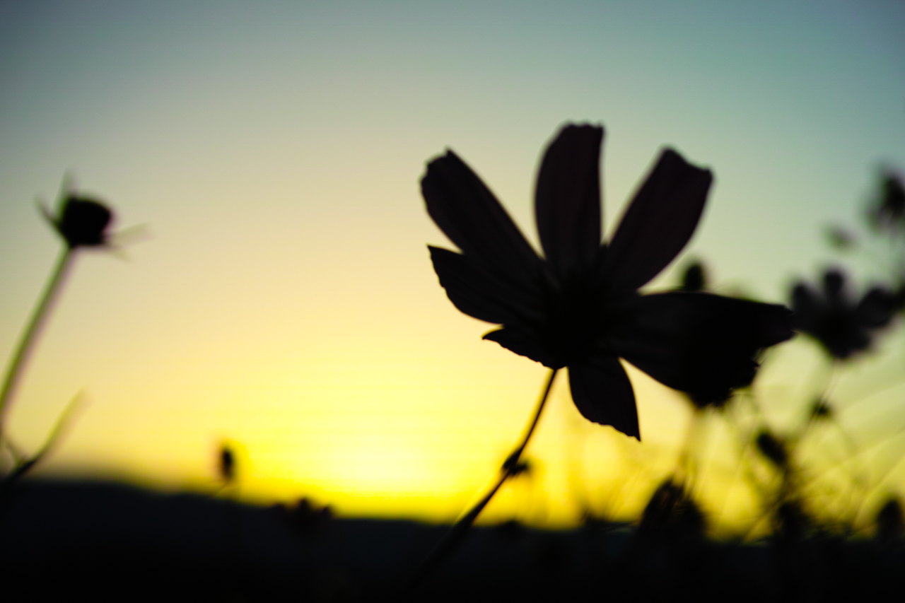 f:id:moo-s:20131007233741j:plain f:id:moo-s:20131007233741j:plain