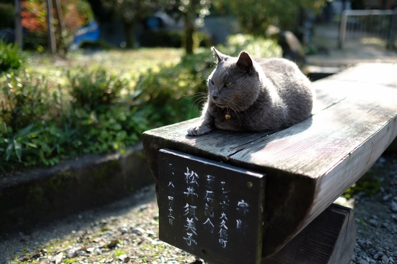 f:id:moo-s:20140117232854j:plain f:id:moo-s:20140117232854j:plain