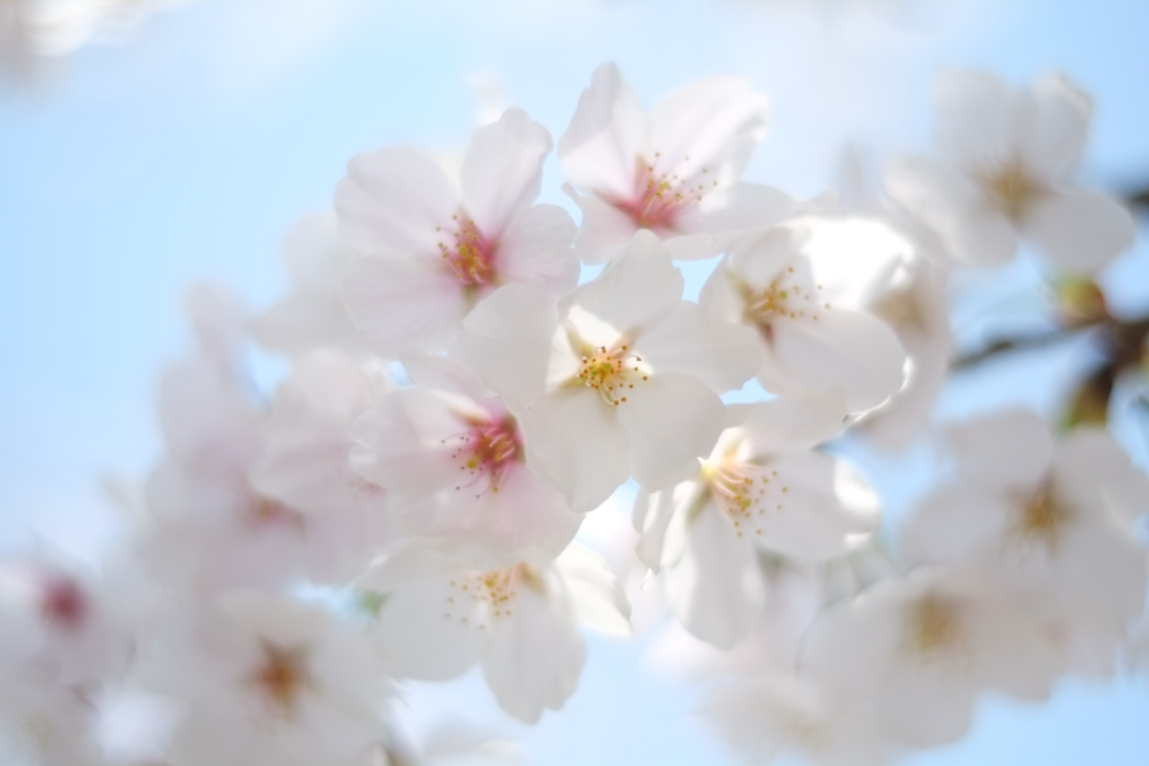 f:id:moo-s:20140119233512j:plain f:id:moo-s:20140119233512j:plain