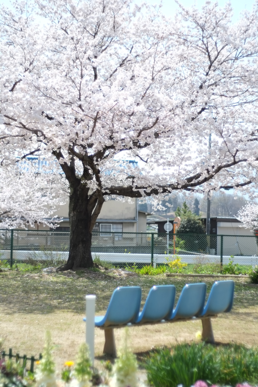 f:id:moo-s:20140119233513j:plain f:id:moo-s:20140119233513j:plain