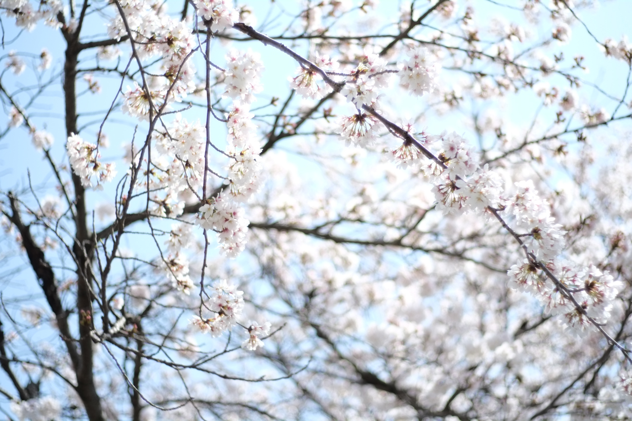 f:id:moo-s:20140121204804j:plain f:id:moo-s:20140121204804j:plain
