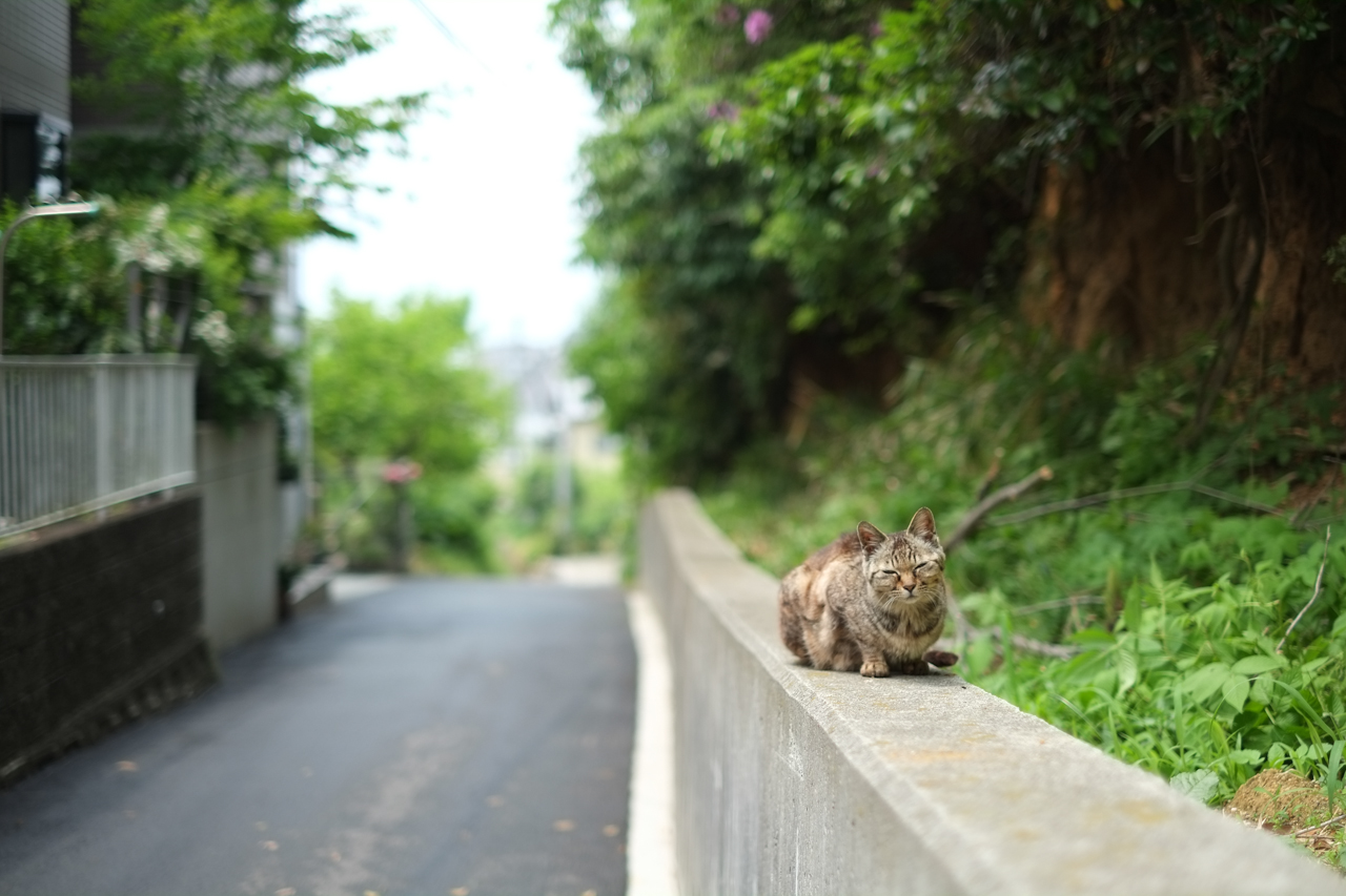 f:id:moo-s:20140121210831j:plain f:id:moo-s:20140121210831j:plain