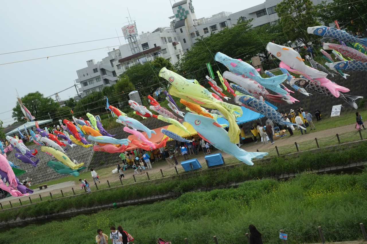 f:id:moo-s:20140121210832j:plain f:id:moo-s:20140121210832j:plain