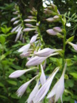 f:id:moo3:20110707154107j:image