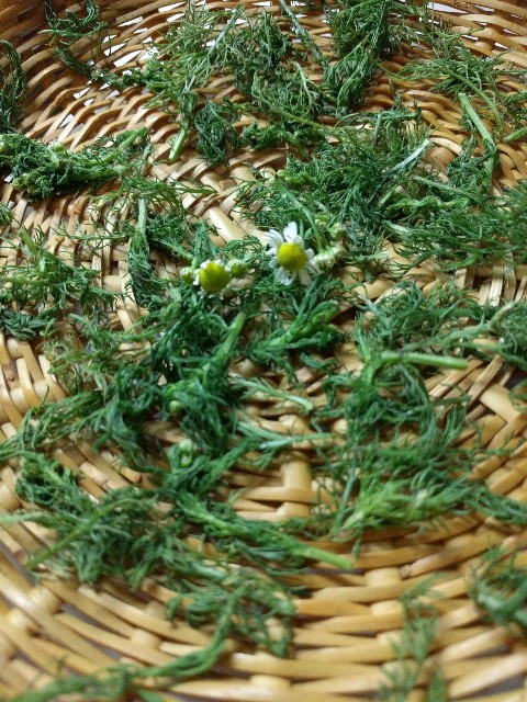 f:id:moohan:20170516230833j:image