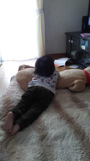雨の日に幼児がゴロゴロするのはつまらないからだけじゃなかった Mami S Blog 雨の日に幼児がゴロゴロするのはつまらないからだけじゃなかった Mami S Blog