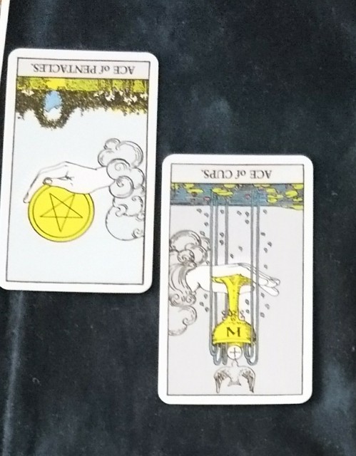 f:id:moominnomegane:20190430155847j:image