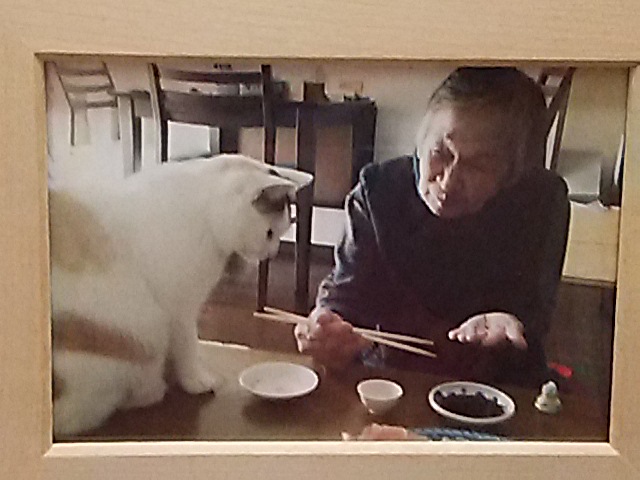 f:id:moomoon6355:20190403060449j:plain