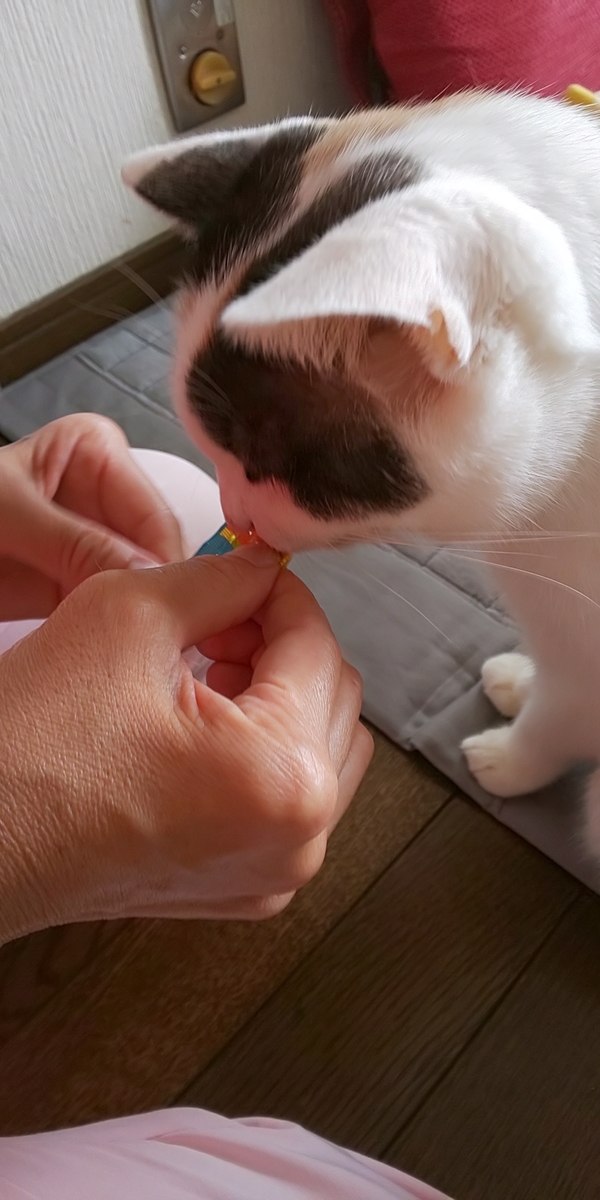 f:id:moomoon6355:20190923153951j:plain f:id:moomoon6355:20190923153951j:plain