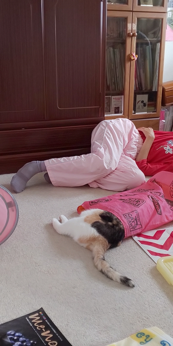 f:id:moomoon6355:20190923154307j:plain f:id:moomoon6355:20190923154307j:plain