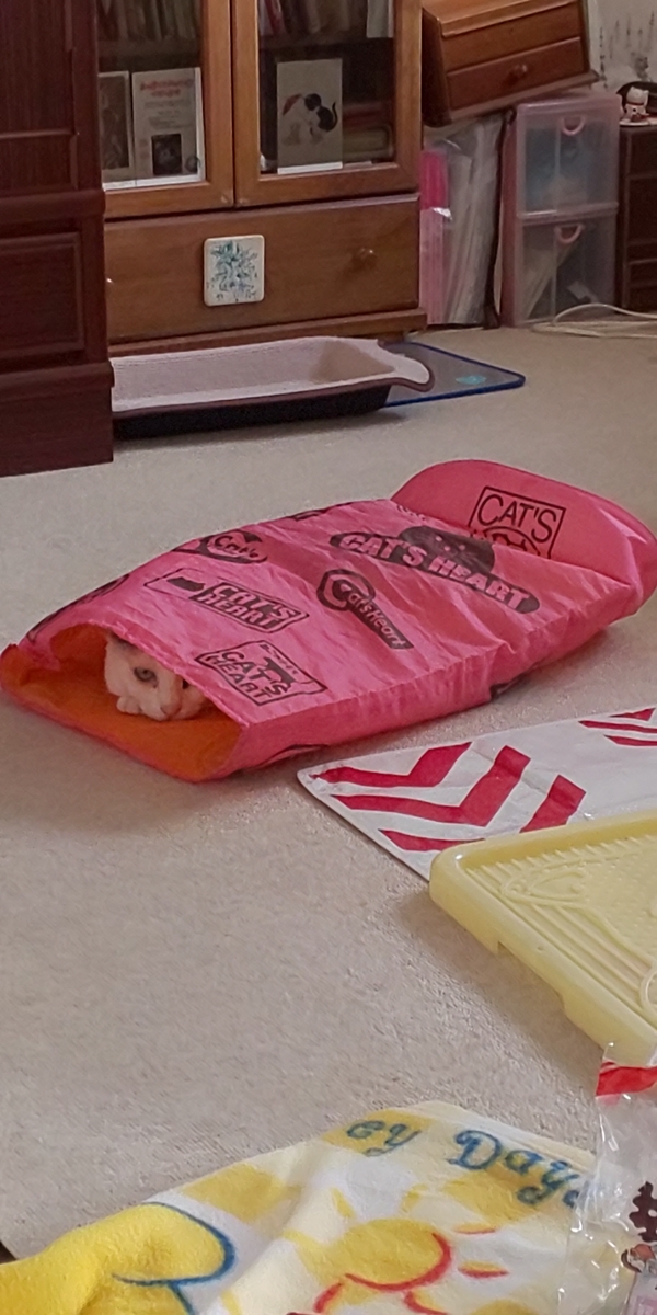 f:id:moomoon6355:20190923154328j:plain f:id:moomoon6355:20190923154328j:plain