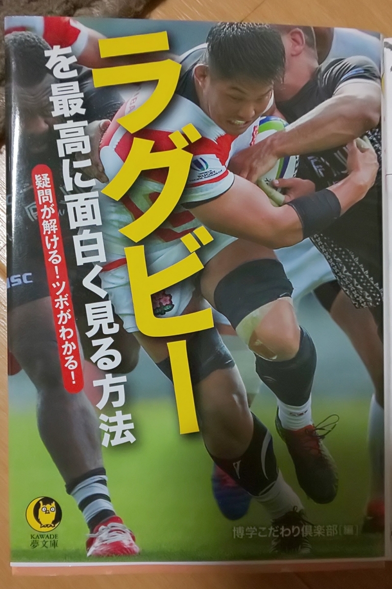 ラグビーの反則まとめ ムウアロハ 手仕事の日々
