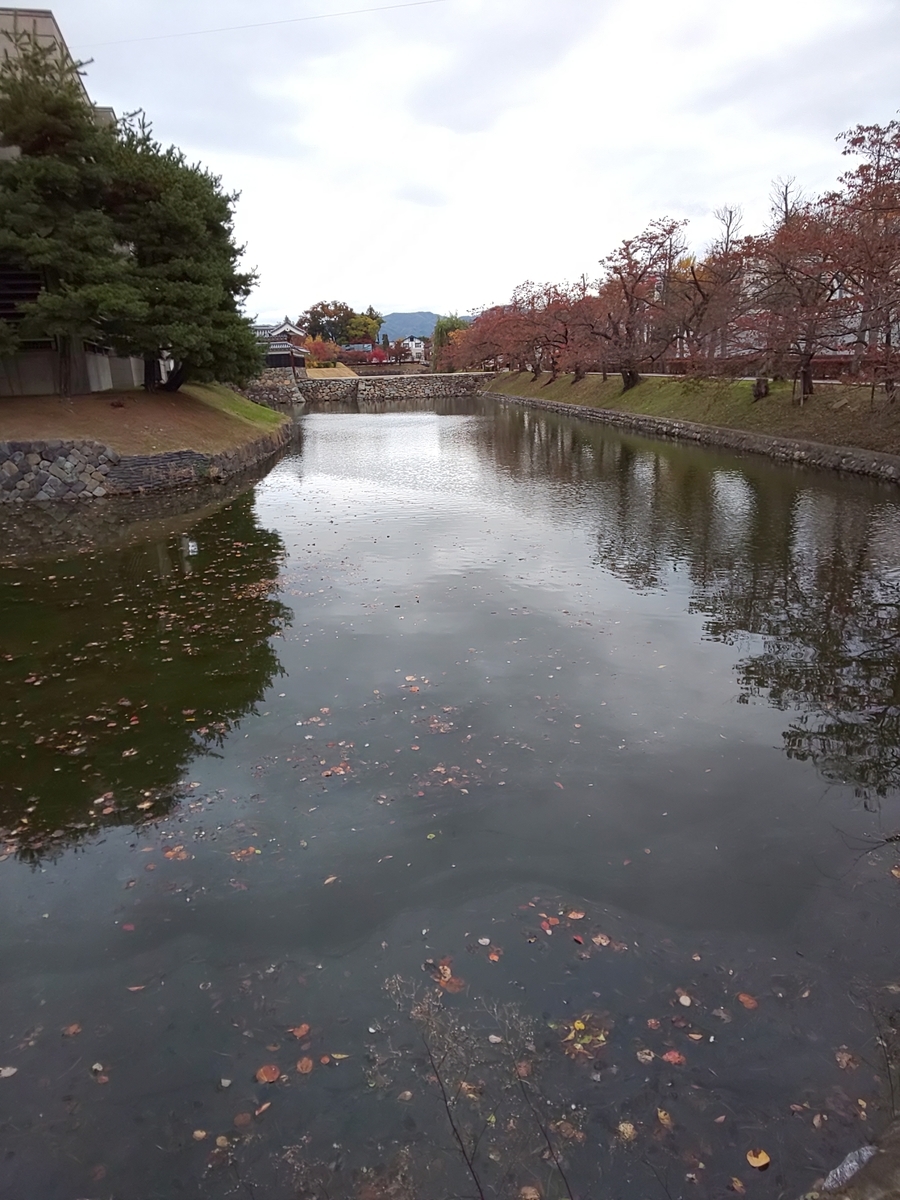 f:id:moomoon6355:20191108070404j:plain