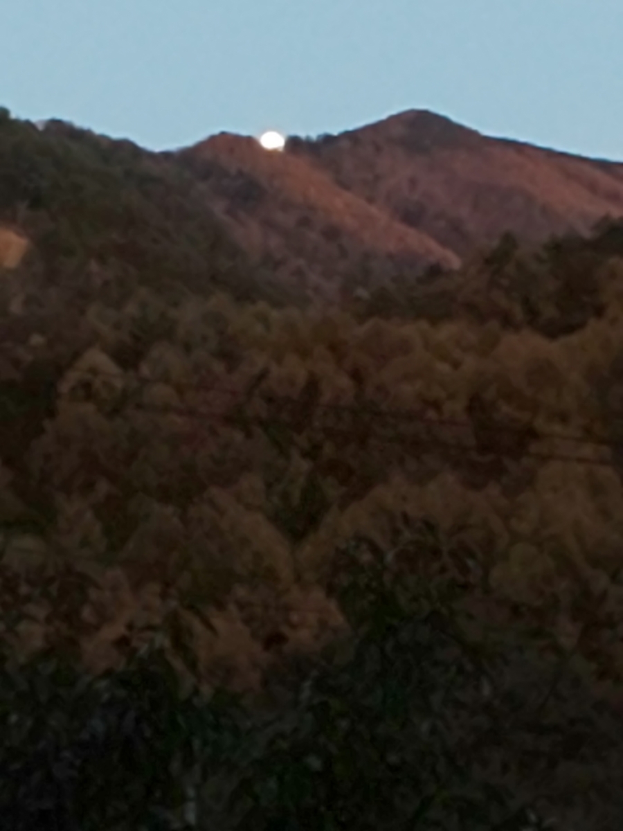 f:id:moomoon6355:20191119161639j:plain f:id:moomoon6355:20191119161639j:plain