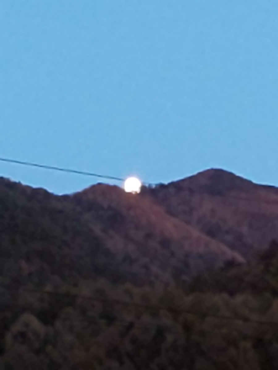 f:id:moomoon6355:20191119161726j:plain f:id:moomoon6355:20191119161726j:plain