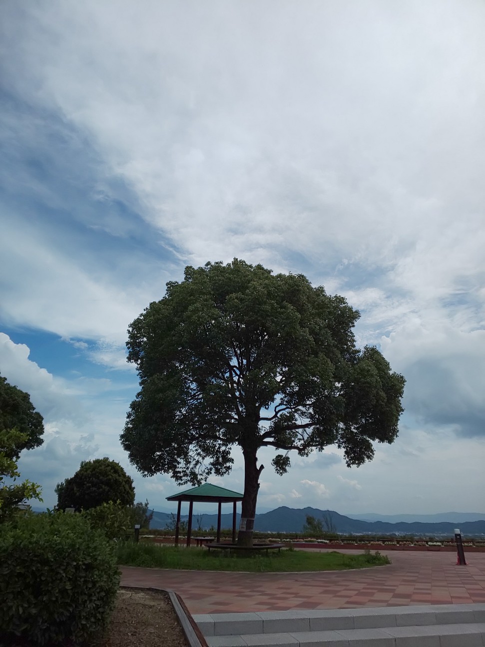 f:id:moomoon6355:20200721164342j:image f:id:moomoon6355:20200721164342j:image