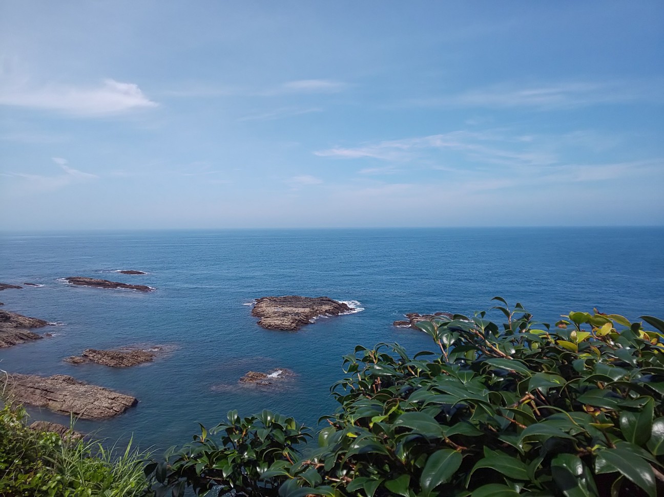 f:id:moomoon6355:20200721165955j:image f:id:moomoon6355:20200721165955j:image