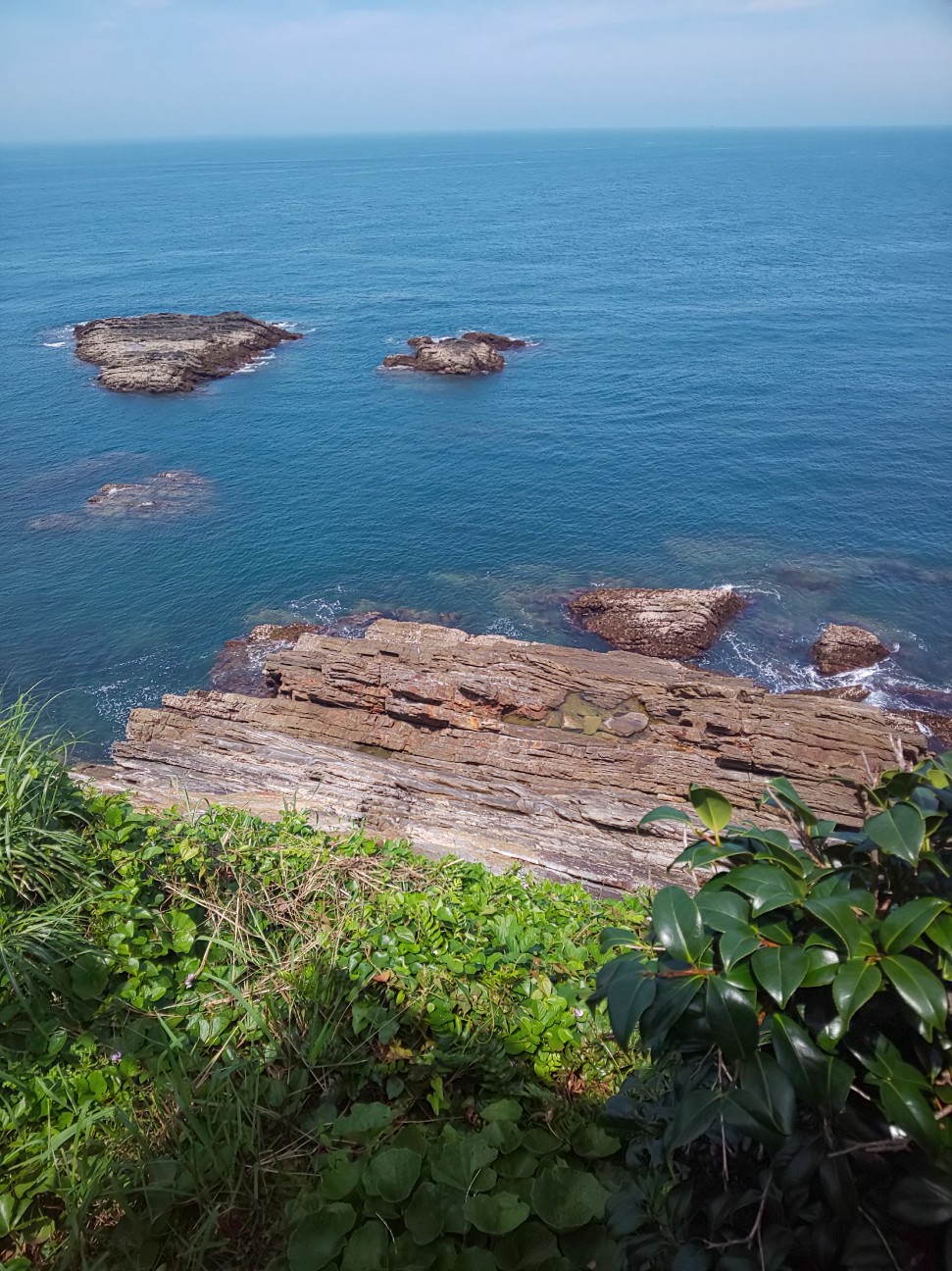 f:id:moomoon6355:20200721170010j:image f:id:moomoon6355:20200721170010j:image