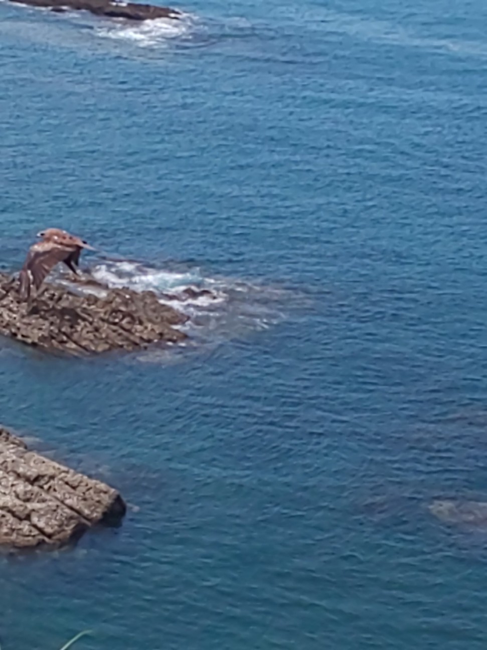 f:id:moomoon6355:20200721170024j:image f:id:moomoon6355:20200721170024j:image