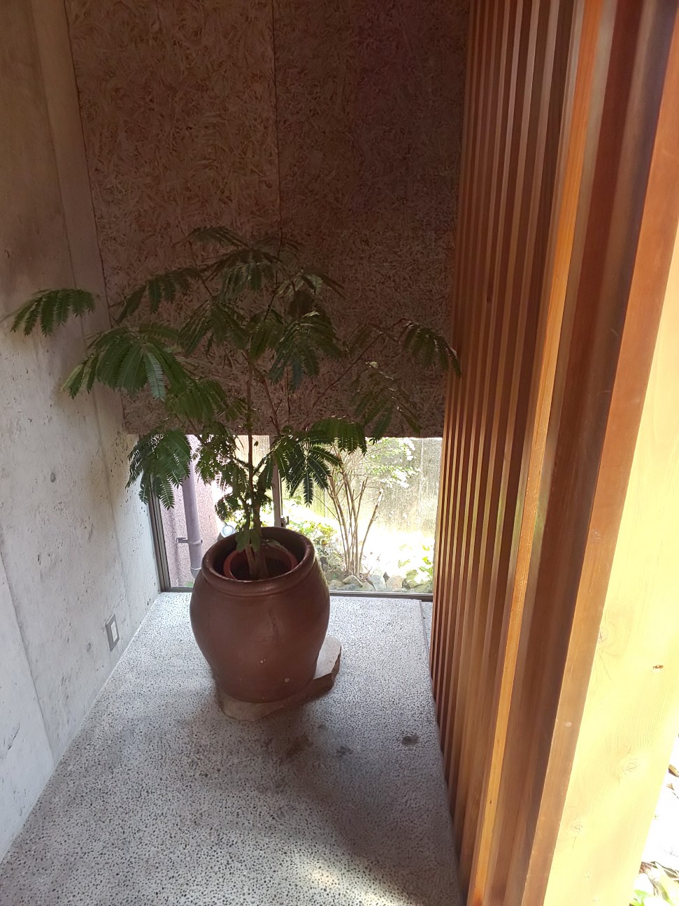 f:id:moomoon6355:20200721170111j:image f:id:moomoon6355:20200721170111j:image