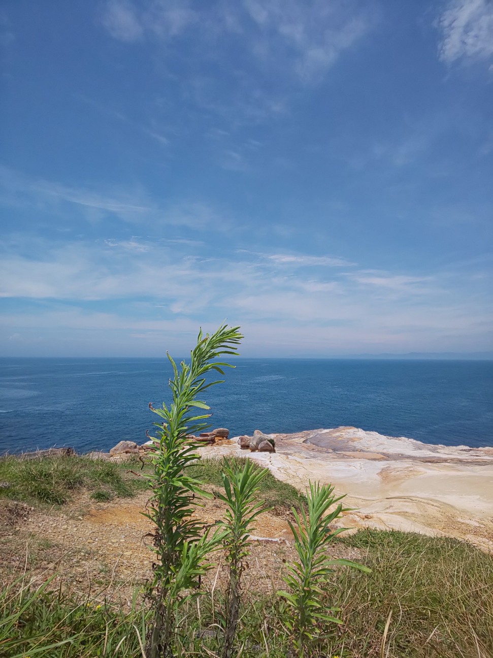 f:id:moomoon6355:20200721170700j:image f:id:moomoon6355:20200721170700j:image