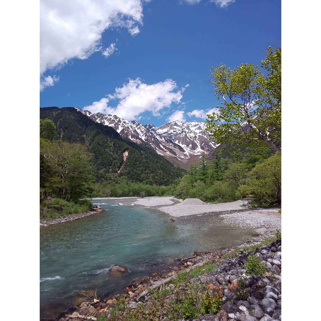 f:id:moomoon6355:20200807144428j:image f:id:moomoon6355:20200807144428j:image