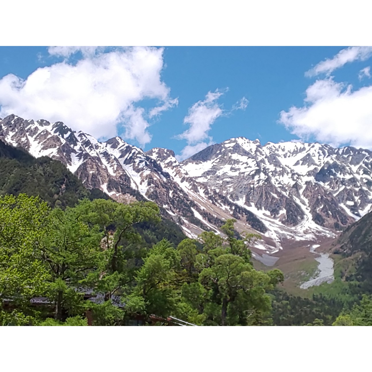 f:id:moomoon6355:20200807144502j:image f:id:moomoon6355:20200807144502j:image