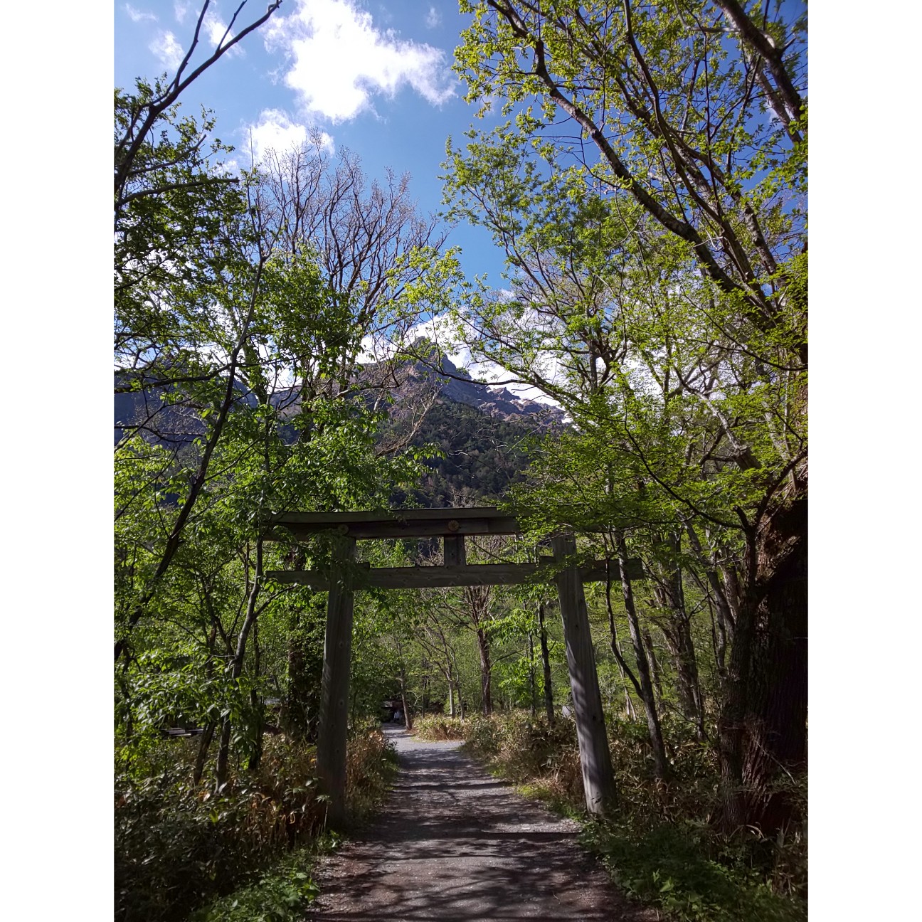 f:id:moomoon6355:20200807144636j:image f:id:moomoon6355:20200807144636j:image