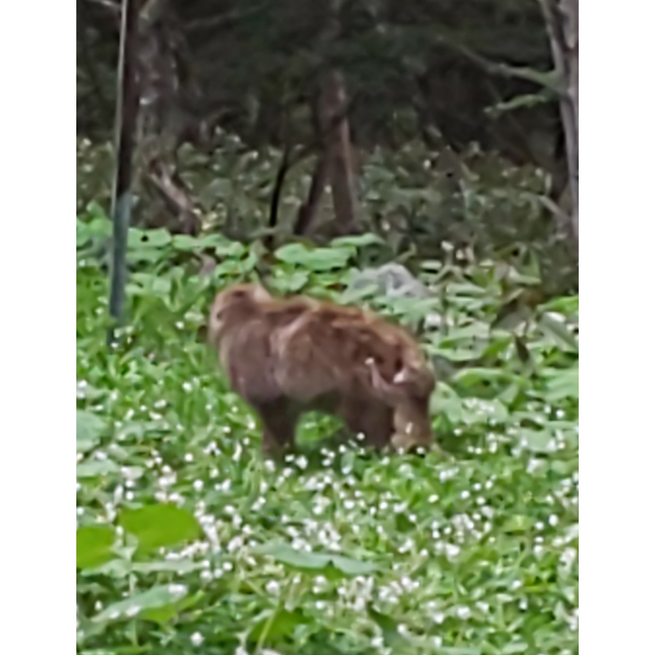 f:id:moomoon6355:20200807144708j:image f:id:moomoon6355:20200807144708j:image