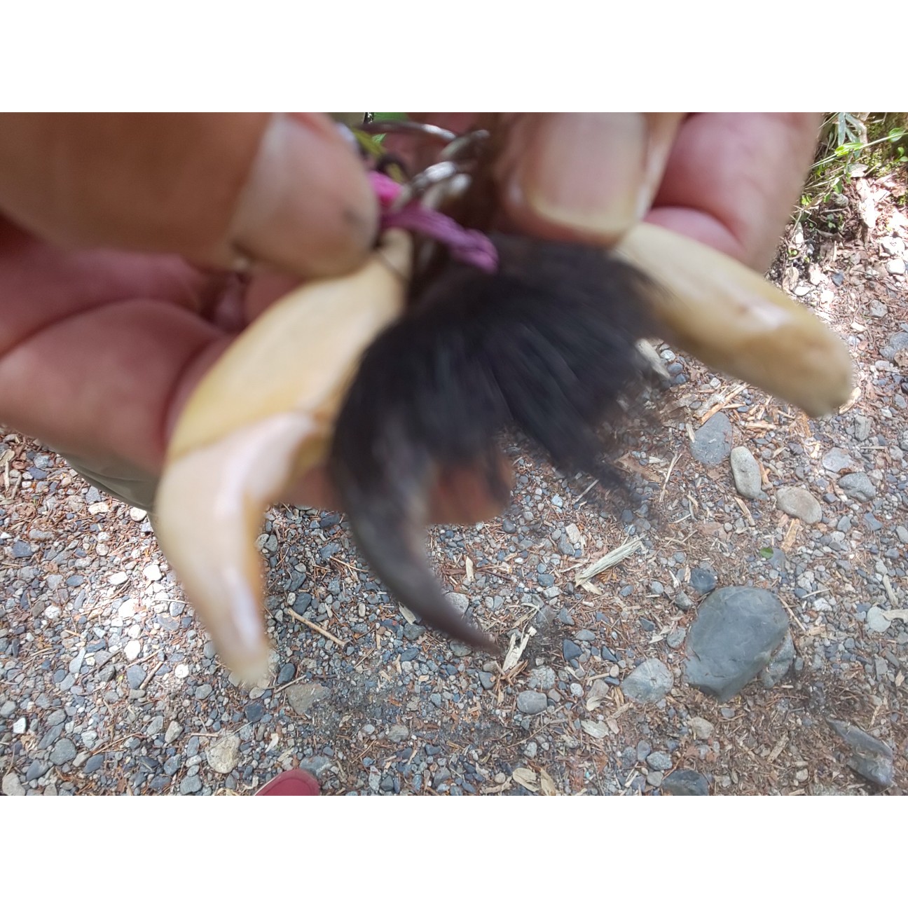 f:id:moomoon6355:20200807144905j:image f:id:moomoon6355:20200807144905j:image