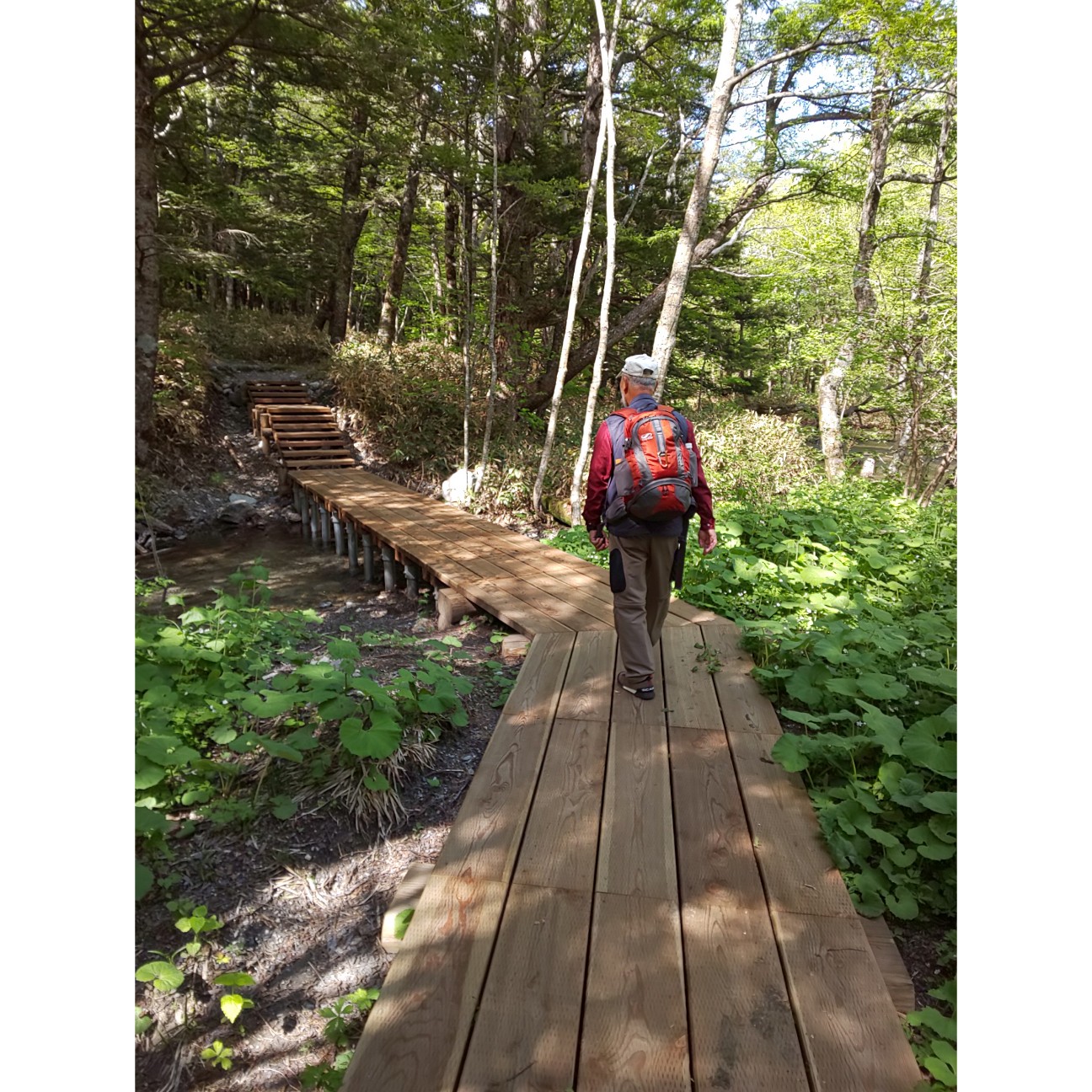 f:id:moomoon6355:20200807151317j:image f:id:moomoon6355:20200807151317j:image