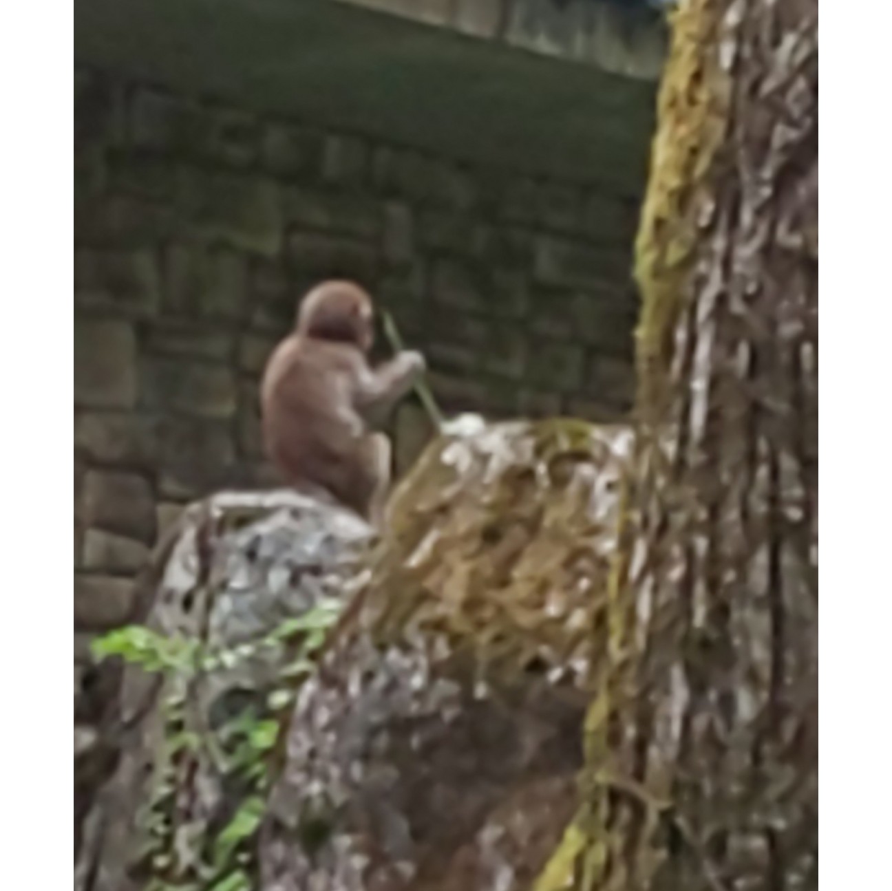 f:id:moomoon6355:20200807152351j:image f:id:moomoon6355:20200807152351j:image