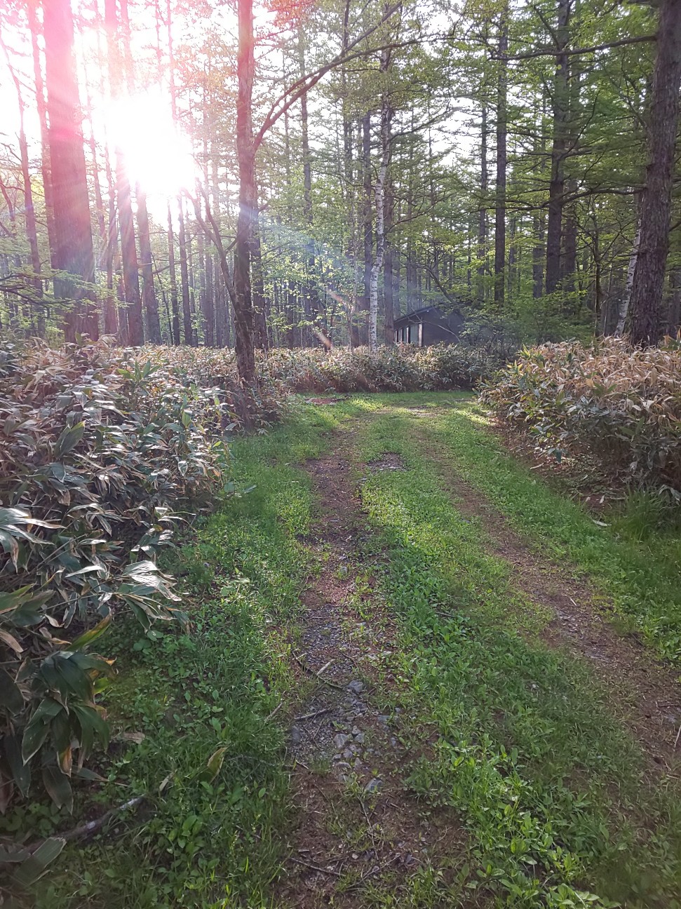 f:id:moomoon6355:20200807153050j:image f:id:moomoon6355:20200807153050j:image