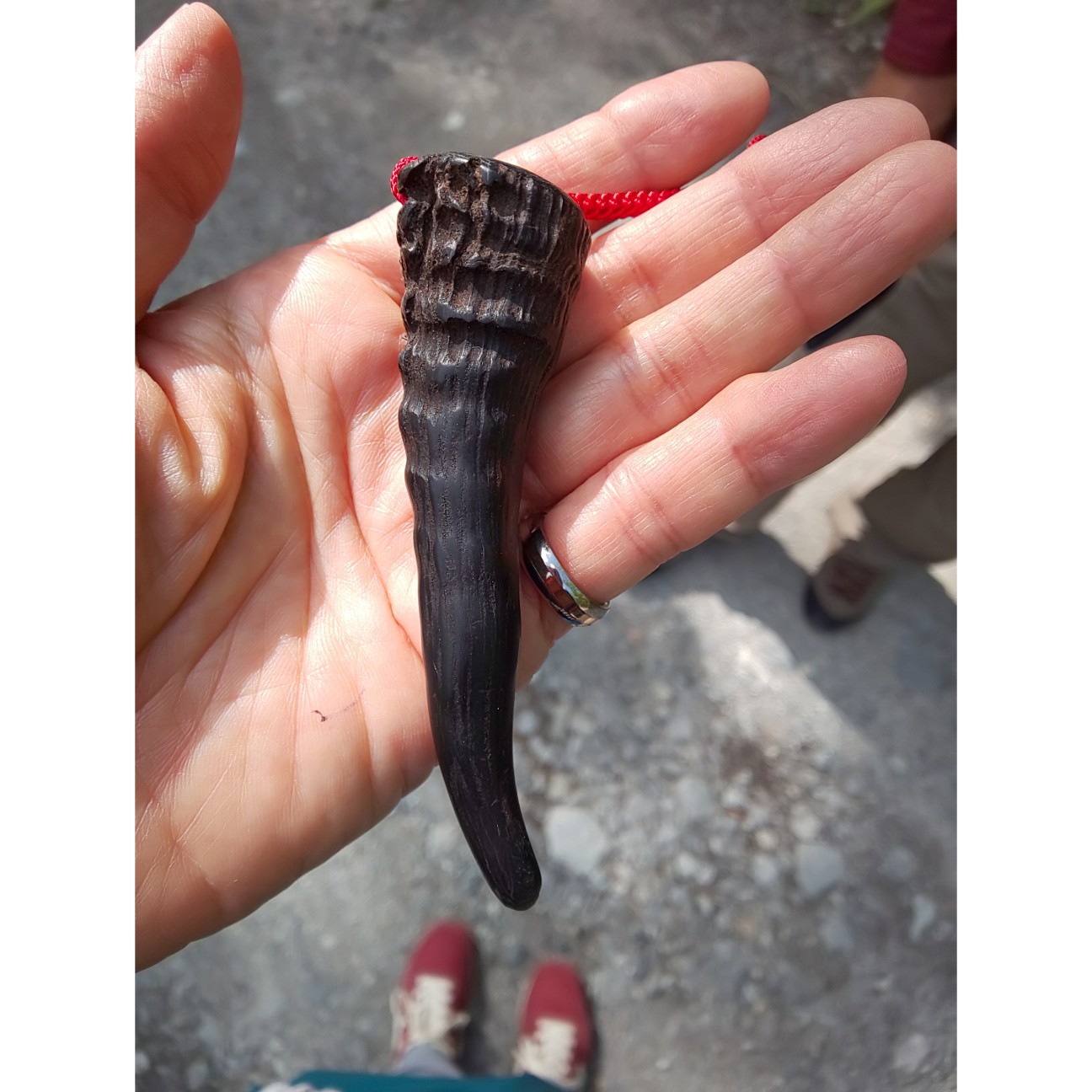 f:id:moomoon6355:20200807153252j:image f:id:moomoon6355:20200807153252j:image