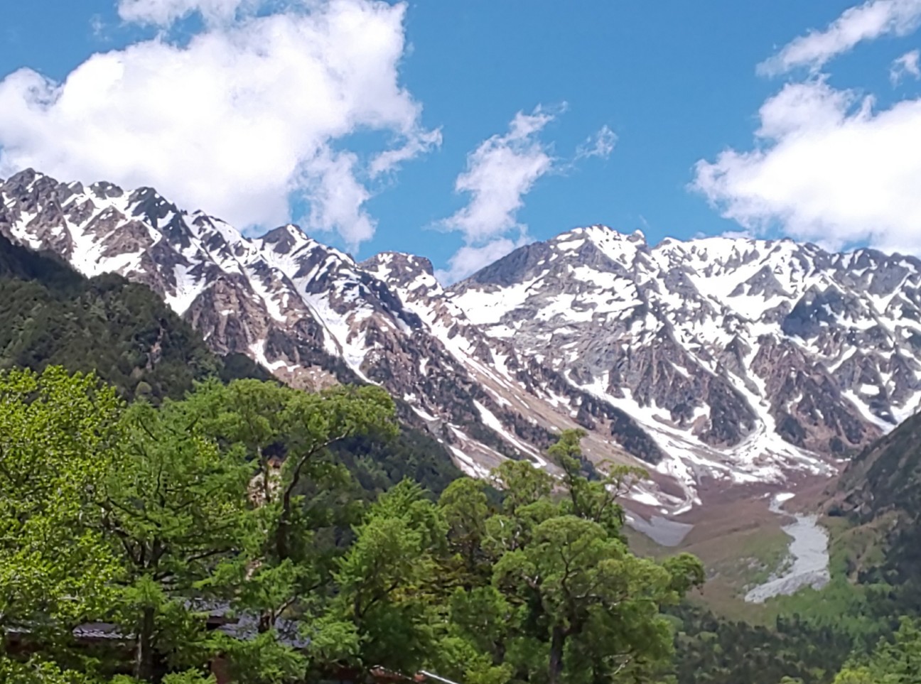 f:id:moomoon6355:20200807181708j:image f:id:moomoon6355:20200807181708j:image