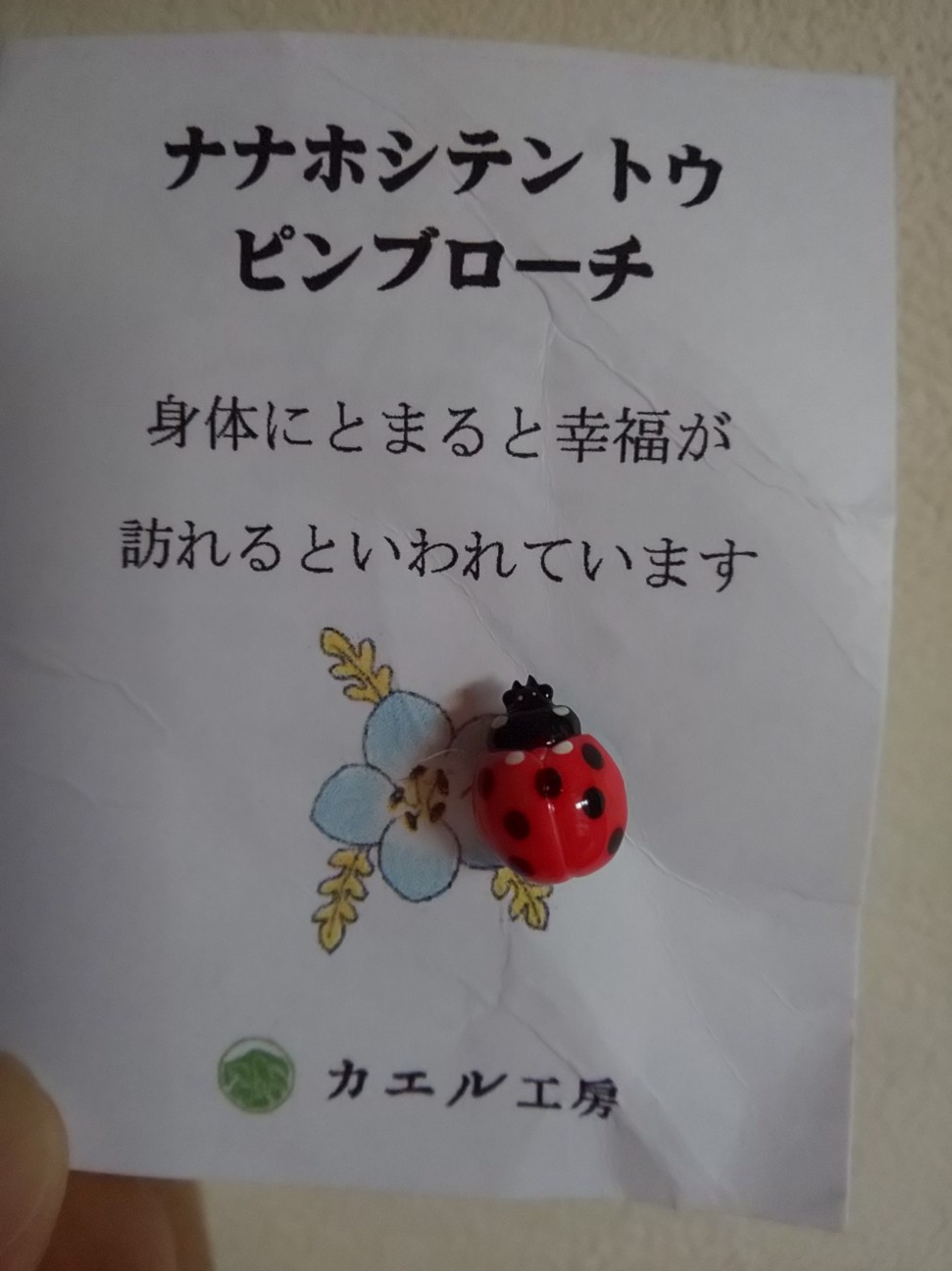 f:id:moomoon6355:20201002001405j:image f:id:moomoon6355:20201002001405j:image