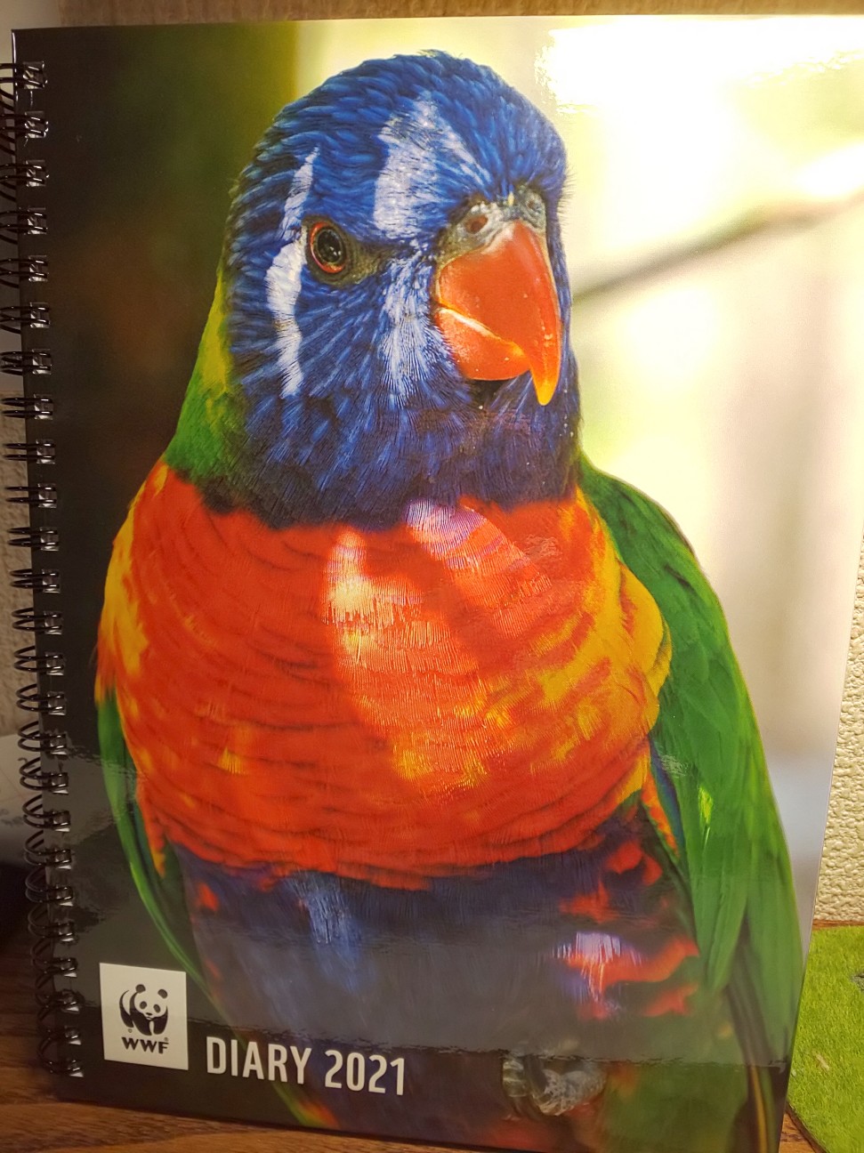 やり投げとは スポーツの人気 最新記事を集めました はてな