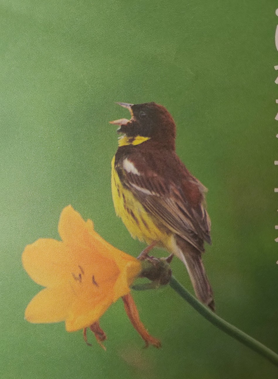 f:id:moomoon6355:20210508135255j:image f:id:moomoon6355:20210508135255j:image
