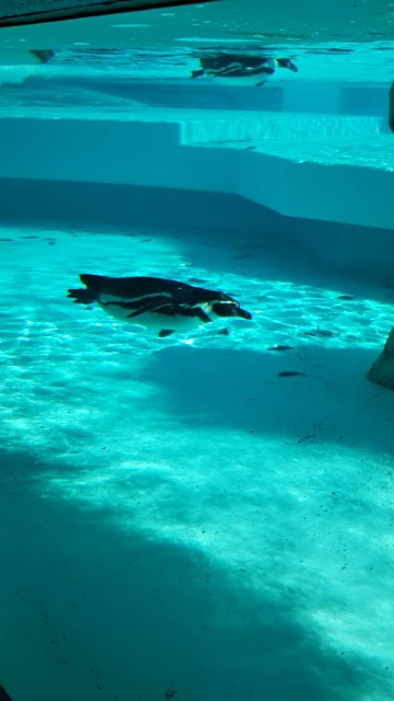 f:id:moomoon6355:20210803162850j:image f:id:moomoon6355:20210803162850j:image