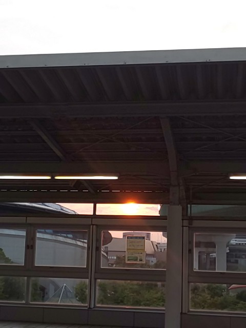 f:id:moomoon6355:20210803165417j:image f:id:moomoon6355:20210803165417j:image