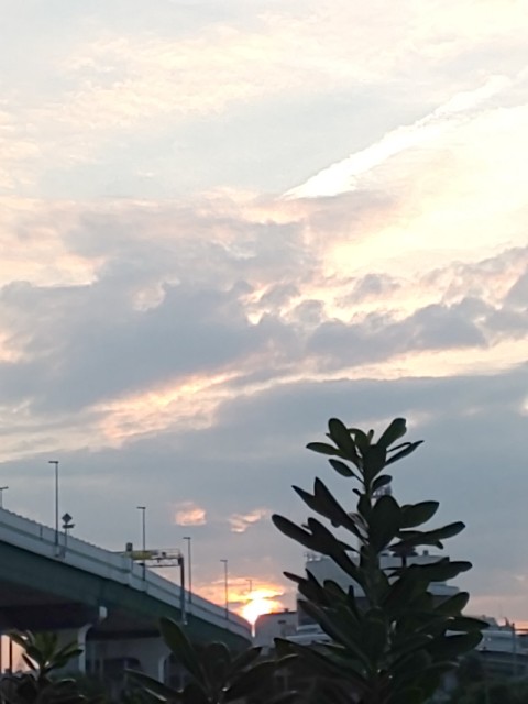 f:id:moomoon6355:20210803165445j:image f:id:moomoon6355:20210803165445j:image