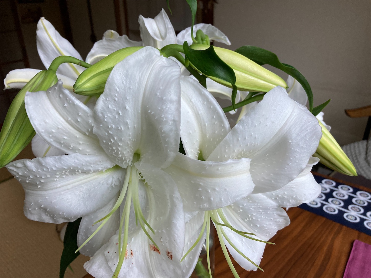 f:id:moomoon6355:20210908231512j:image f:id:moomoon6355:20210908231512j:image