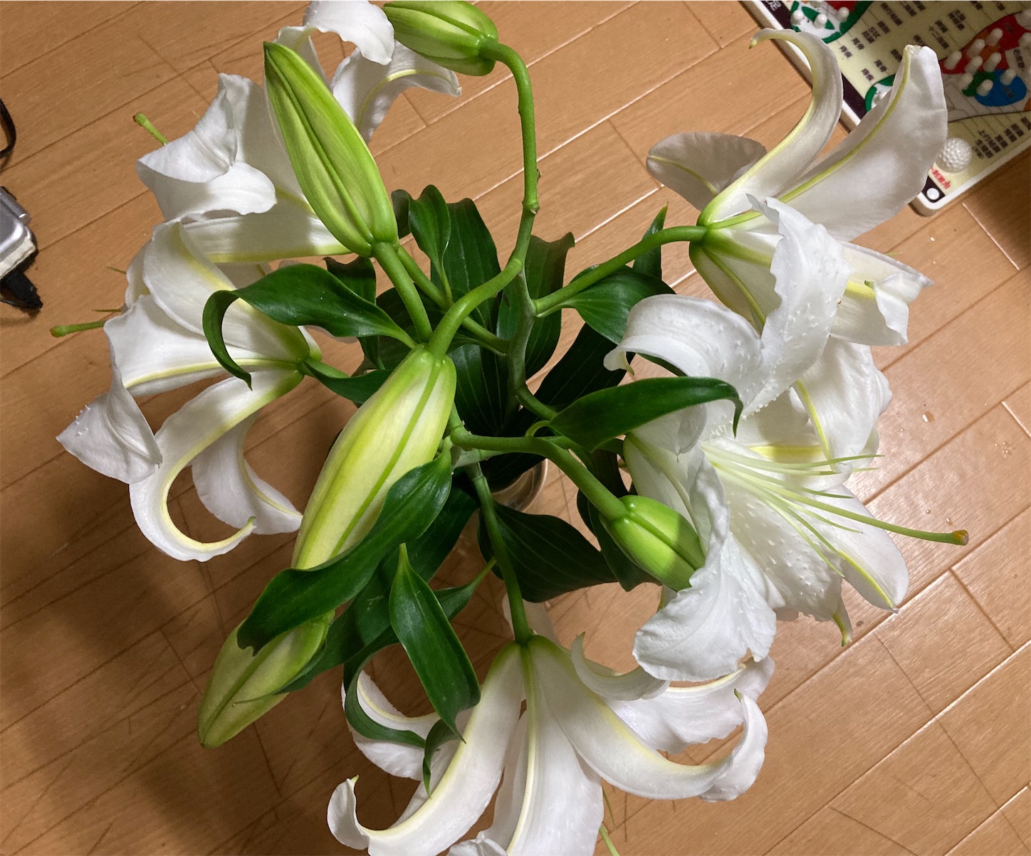 f:id:moomoon6355:20210908231516j:image f:id:moomoon6355:20210908231516j:image