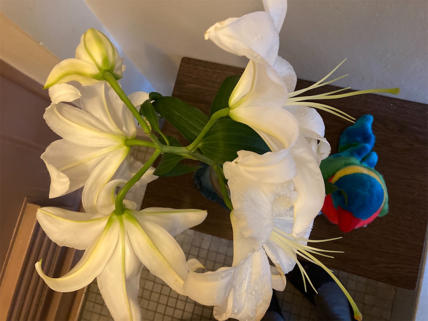 f:id:moomoon6355:20210908231915j:image f:id:moomoon6355:20210908231915j:image