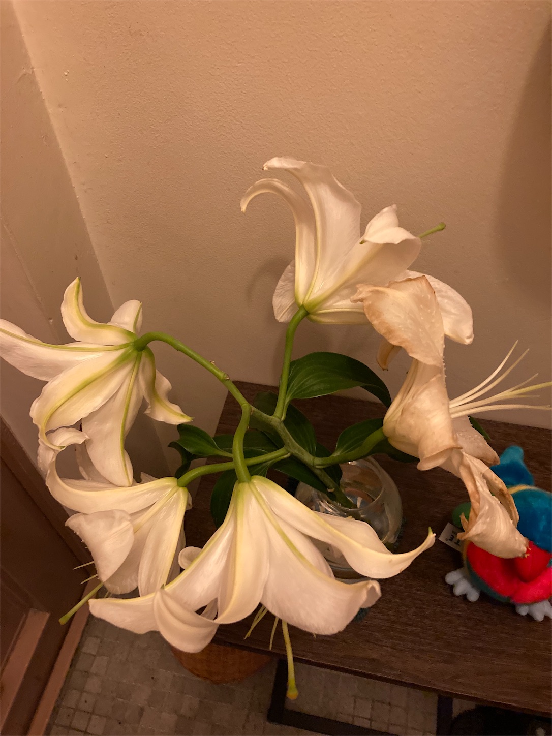 f:id:moomoon6355:20210908232051j:image f:id:moomoon6355:20210908232051j:image