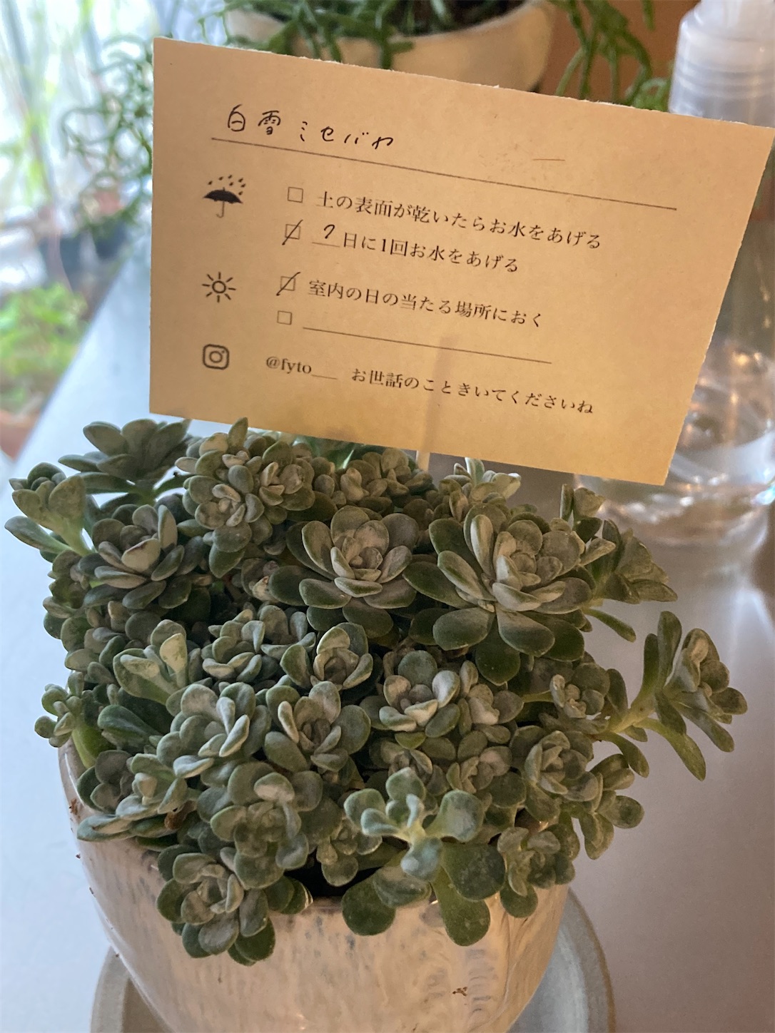 f:id:moomoon6355:20211123160830j:image